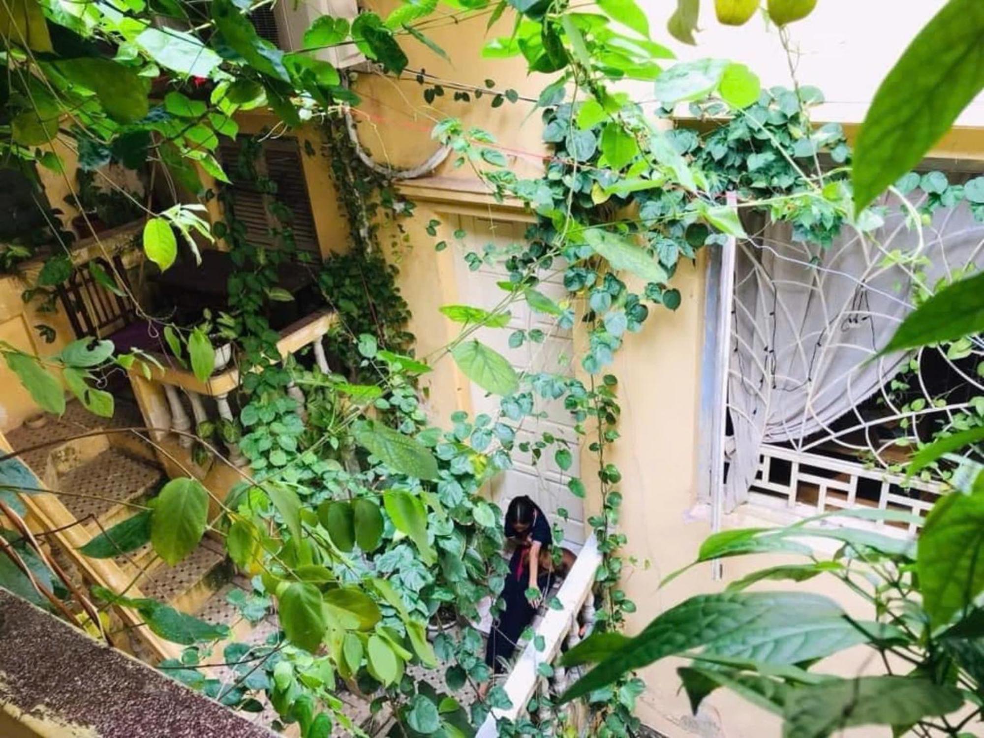 Apartment Azalea Hanoi